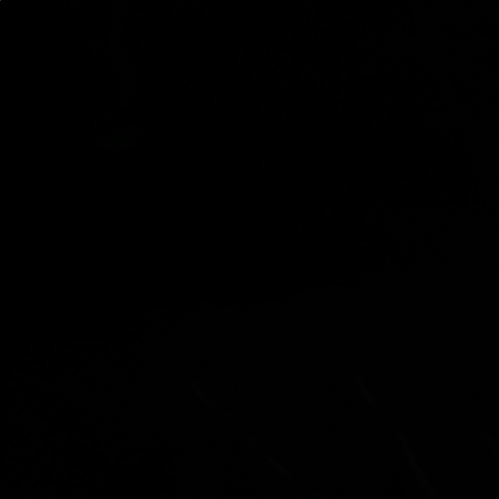 Black Garment